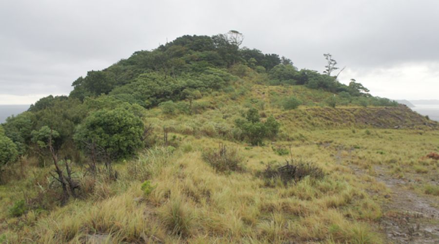 シオンの山